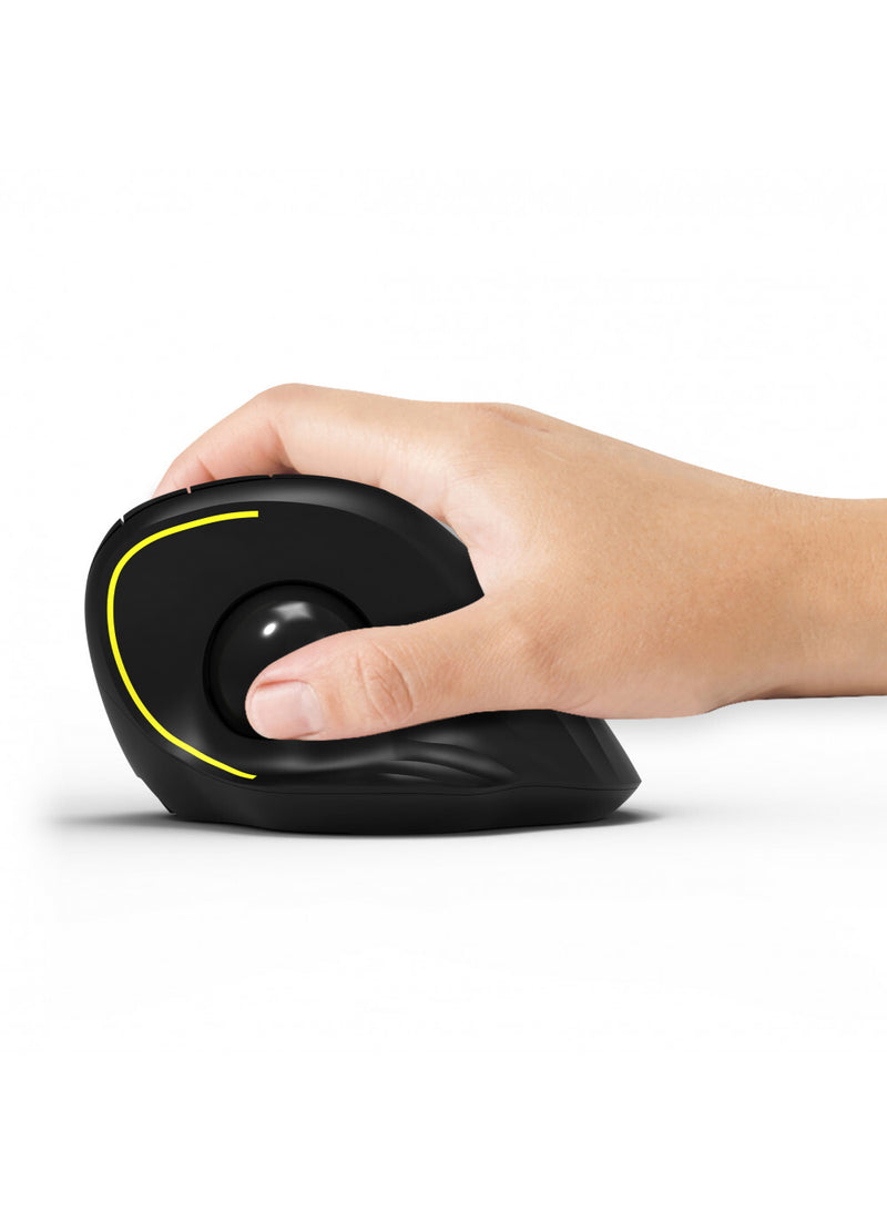 Port Designs 900719 mus Kontor Højre hånd RF trådløs + Bluetooth Optisk 1600 dpi