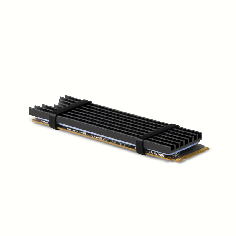 Axagon CLR-M2L3 Computerkølesystem M.2 NVMe SSD, Solid-state drev Køleplade/køler Sort 1 stk