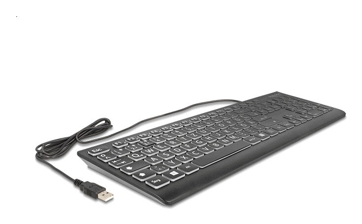 DeLOCK 12170 tastatur Universel USB QWERTZ Tysk Sort