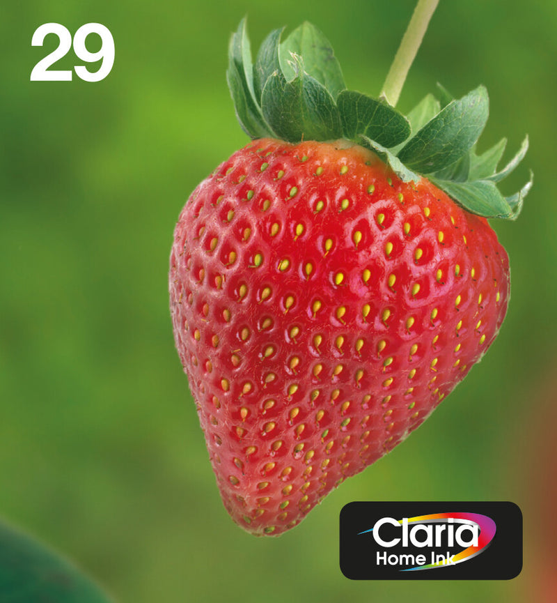 Epson Strawberry C13T29864511 blækpatron 1 stk Original Standard udbytte Sort, Blå, Magenta, Gul