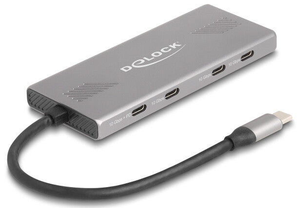 DeLOCK 64313 interface hub USB 3.2 Gen 2 (3.1 Gen 2) Type-C 10000 Mbit/s Grå