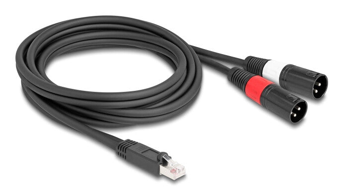 DeLOCK 88173 lydkabel 2 m RJ-45 2 x XLR (3-pin) Sort