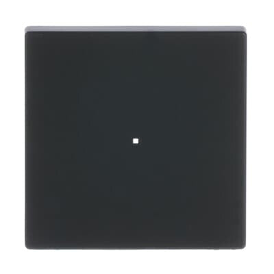 Busch-Jaeger 6230-10-885 Sort
