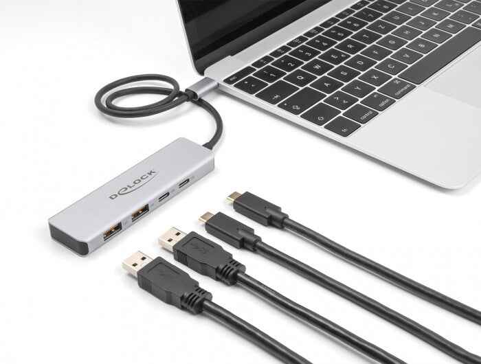 DeLOCK 64230 interface hub USB Type-C 10000 Mbit/s Grå
