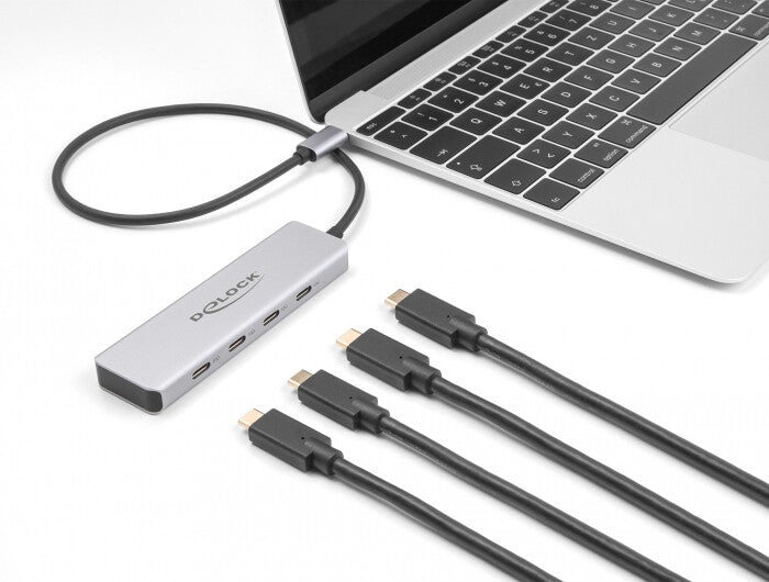 DeLOCK 64231 interface hub USB Type-C 10000 Mbit/s Grå