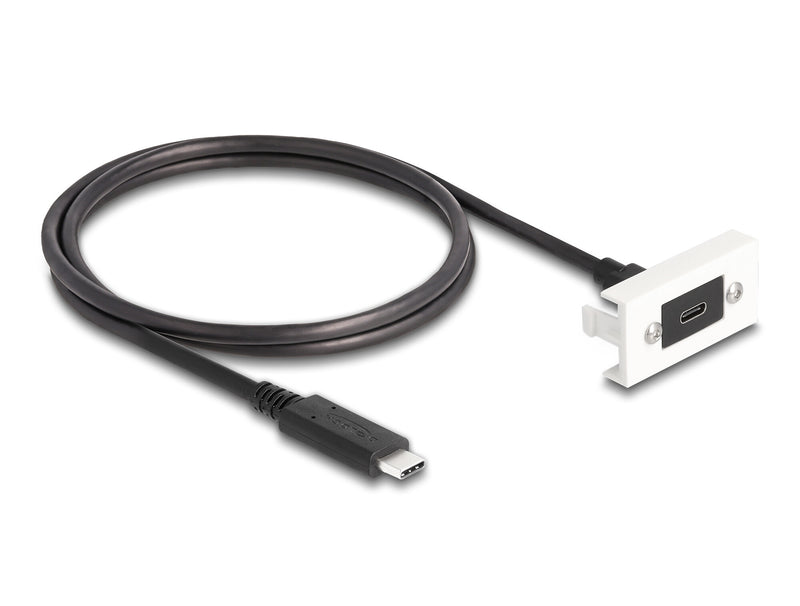 DeLOCK 81386 USB-kabel USB 3.2 Gen 2 (3.1 Gen 2) 1 m USB C 10 Gbit/sek. Sort