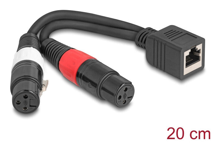 DeLOCK 88178 lydkabel 0,2 m RJ-45 2 x XLR (3-pin) Sort