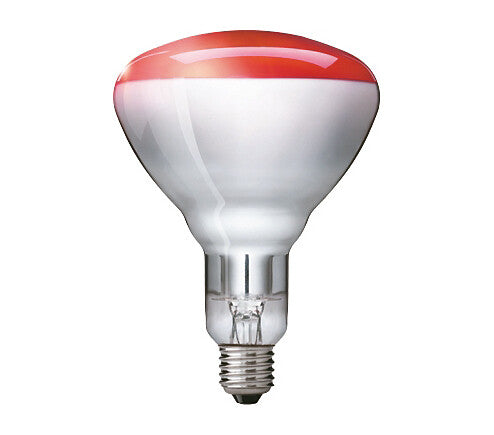 Philips 923212043801 infrarød lampe 250 W Pære
