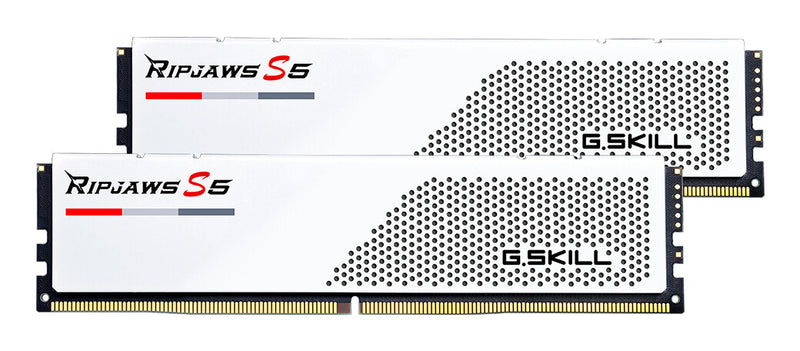 G.Skill F5-6000J3036F24GX2-RS5W hukommelsesmodul 48 GB 2 x 24 GB DDR5 5600 MT/s 288-pin DIMM