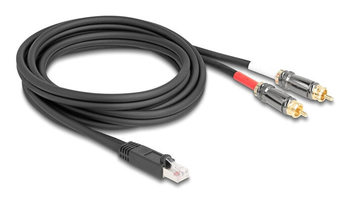DeLOCK 88171 lydkabel 2 m RJ-45 2 x RCA Sort