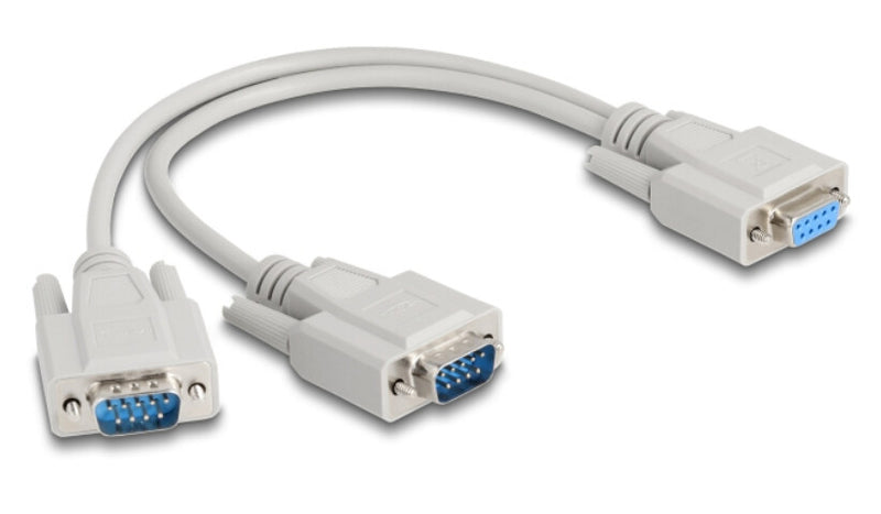 DeLOCK 67160 serielkabel Beige 0,3 m DB-9