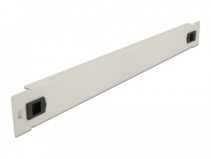 DeLOCK 66630 tilbehør til rack Blindpanel
