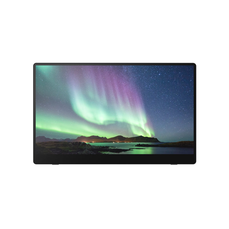 Ricoh 150 Bærbar skærm Sort 39,6 cm (15.6") LED 1920 x 1080 pixel
