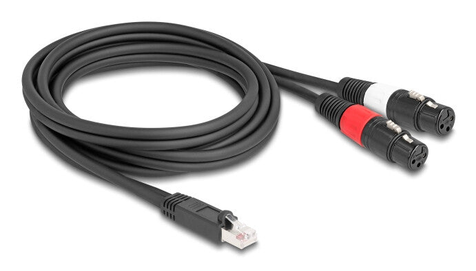 DeLOCK 88176 lydkabel 2 m RJ-45 2 x XLR (3-pin) Sort