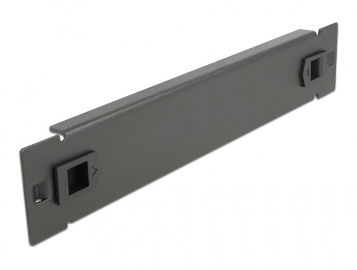 DeLOCK 66576 tilbehør til rack Blindpanel