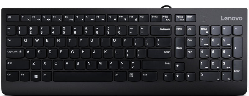 Lenovo 300 tastatur Universel USB QWERTY US engelsk Sort