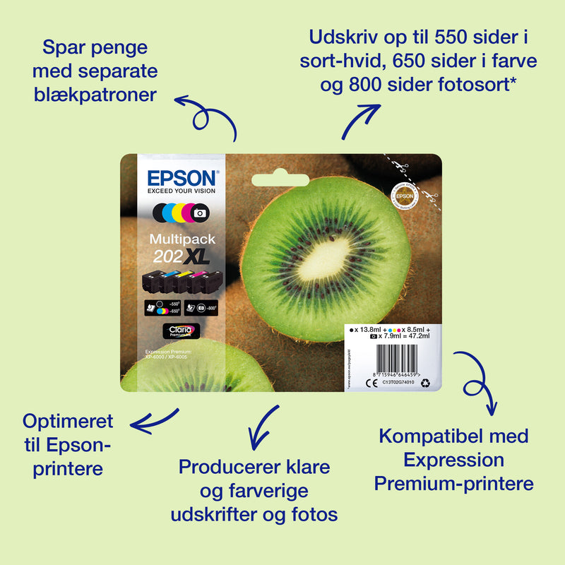 Epson Kiwi Singlepack Photo Black 202 Claria Premium Ink