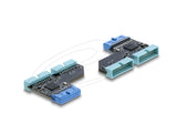 DeLOCK 67341 kabel kønsskifter USB 5 Gbps 20 pin header 2x USB 5 Gbps 20 pin header Sort, Blå