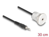 DeLOCK 88188 lydkabel 0,3 m 3.5mm Sort, Sølv