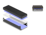 DeLOCK 42029 drevkabinet SSD kabinet Sort, Grå M.2