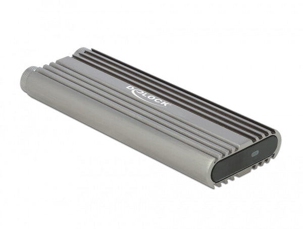 DeLOCK 42001 drevkabinet SSD kabinet Sølv M.2