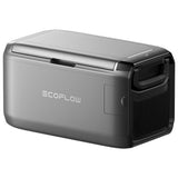 EcoFlow GLACIER Classic køleboks 45 L Elektrisk Grå