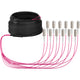 EFB Elektronik O8341S40OM4 InfiniBand og fiberoptisk kabel 40 m 12x SC U-DQ(ZN) BH Beige, Sort, Magenta