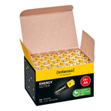 Intenso 7501824 husholdningsbatteri Engangsbatteri AA Alkaline