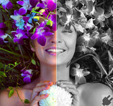 Corel AfterShot Pro 3 Grafisk redaktør Fuld 1 licens(er)