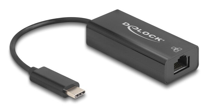 DeLOCK 64306 netværkskort Ethernet 100 Mbit/s