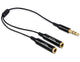 DeLOCK 65356 lydkabel 0,25 m 3.5mm 2 x 3.5mm Sort