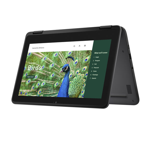DELL Chromebook 3120 2-in-1 Intel® N N100 29,5 cm (11.6") Berøringsskærm HD 4 GB LPDDR5-SDRAM 64 GB eMMC Wi-Fi 6 (802.11ax) ChromeOS Sort Nordisk