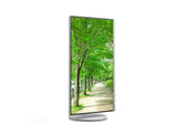 Sharp MultiSync EA272Q computerskærm 68,6 cm (27") 2560 x 1440 pixel 4K Ultra HD LCD Hvid