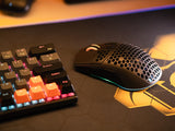 Tracer GameZone Honeycomb RF mus Spil Højre hånd RF Wireless + Bluetooth + USB Type-A Optisk 12000 dpi