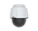 Axis P5654-E Mk II 50HZ Kuppel IP-sikkerhedskamera Indendørs & udendørs 1920 x 1080 pixel Loft