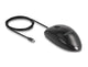 DeLOCK 12114 mus Universel Ambidextrous USB Type-C Optisk 1200 dpi