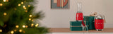 Smeg 50's Style Blendere PBF01RDEU Rød