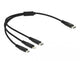 DeLOCK 87148 USB-kabel USB 2.0 0,3 m USB C USB C/Micro-USB B/Lightning Sort