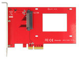 DeLOCK 89469 interface-kort/adapter Intern U.2