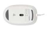 iBox Seagull mus Hjem Ambidextrous USB Type-A Optisk 2400 dpi