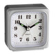 TFA-Dostmann 98.1079 vækkeur Quartz alarmur