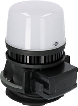 Brennenstuhl 1173700003 lommelygte Sort Hånd lommelygte SMD LED