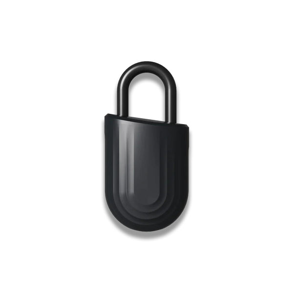 igloohome Padlock Lite Smart hængelås