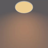 Philips Funktionel Super Slim loftslampe 36 W