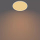 Philips Funktionel Super Slim loftslampe 36 W