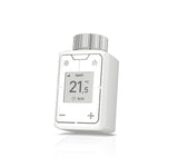 DECT 302