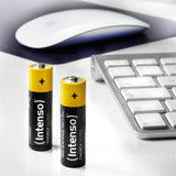 Intenso 7501920 husholdningsbatteri Engangsbatteri AA Alkaline
