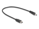 DeLOCK 85403 el-ledning Sort 0,27 m USB C DC