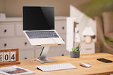 Gembird NBS-D1-03 laptop stativ Sølv 39,6 cm (15.6")