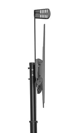 Gembird TVS-100T-02 tv-beslag 2,54 m (100")